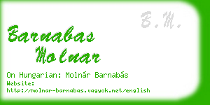 barnabas molnar business card