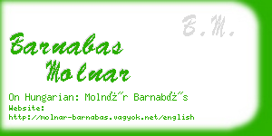 barnabas molnar business card